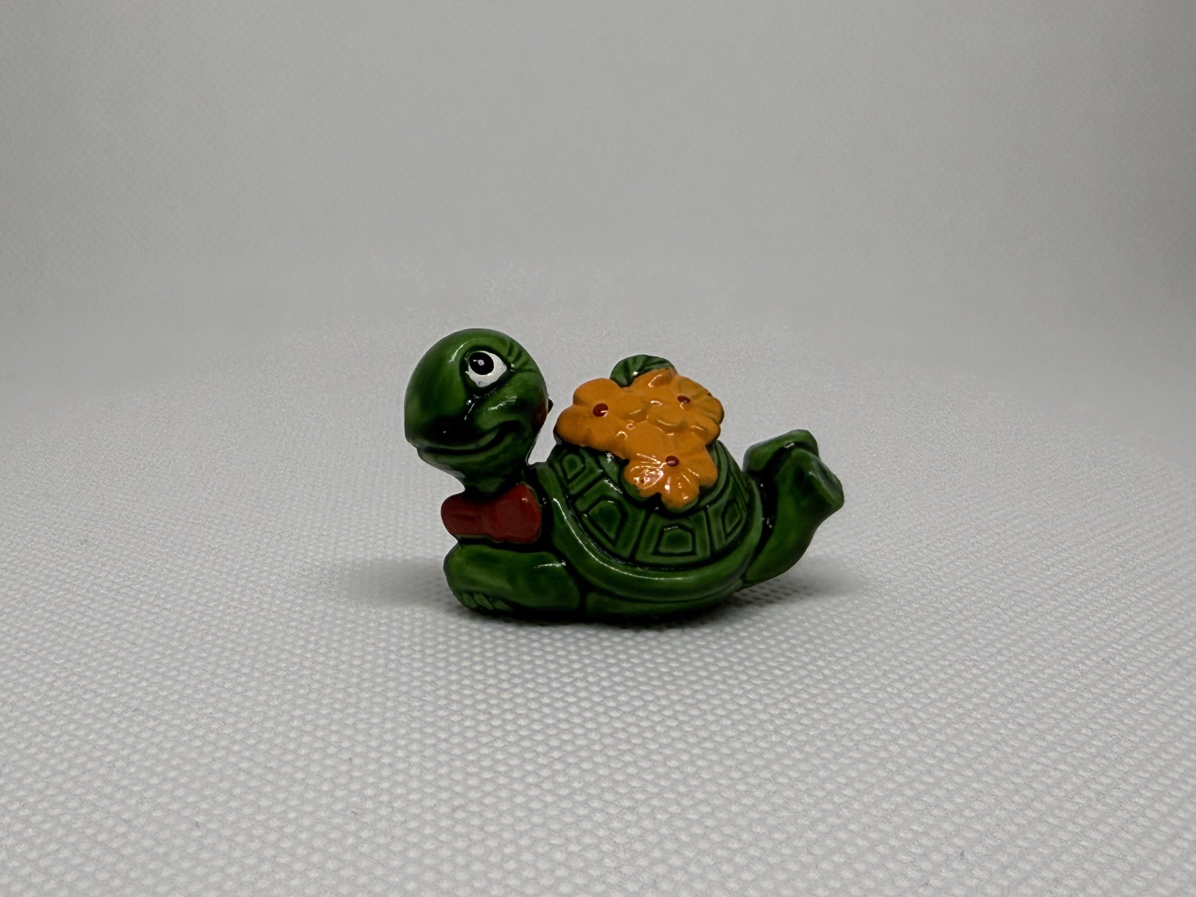 Las tortugas alegres - 10