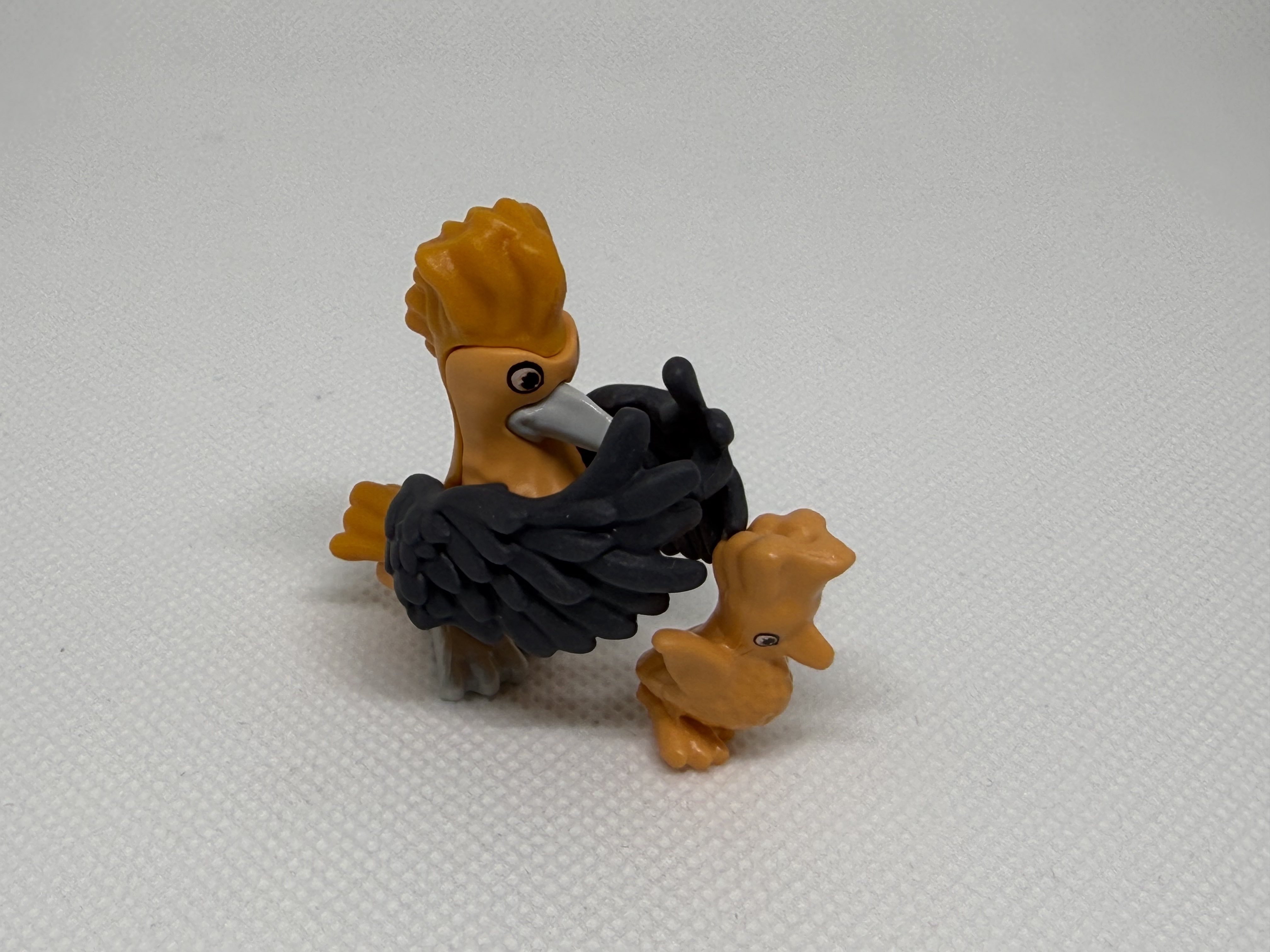 Pájaros con cria - 03