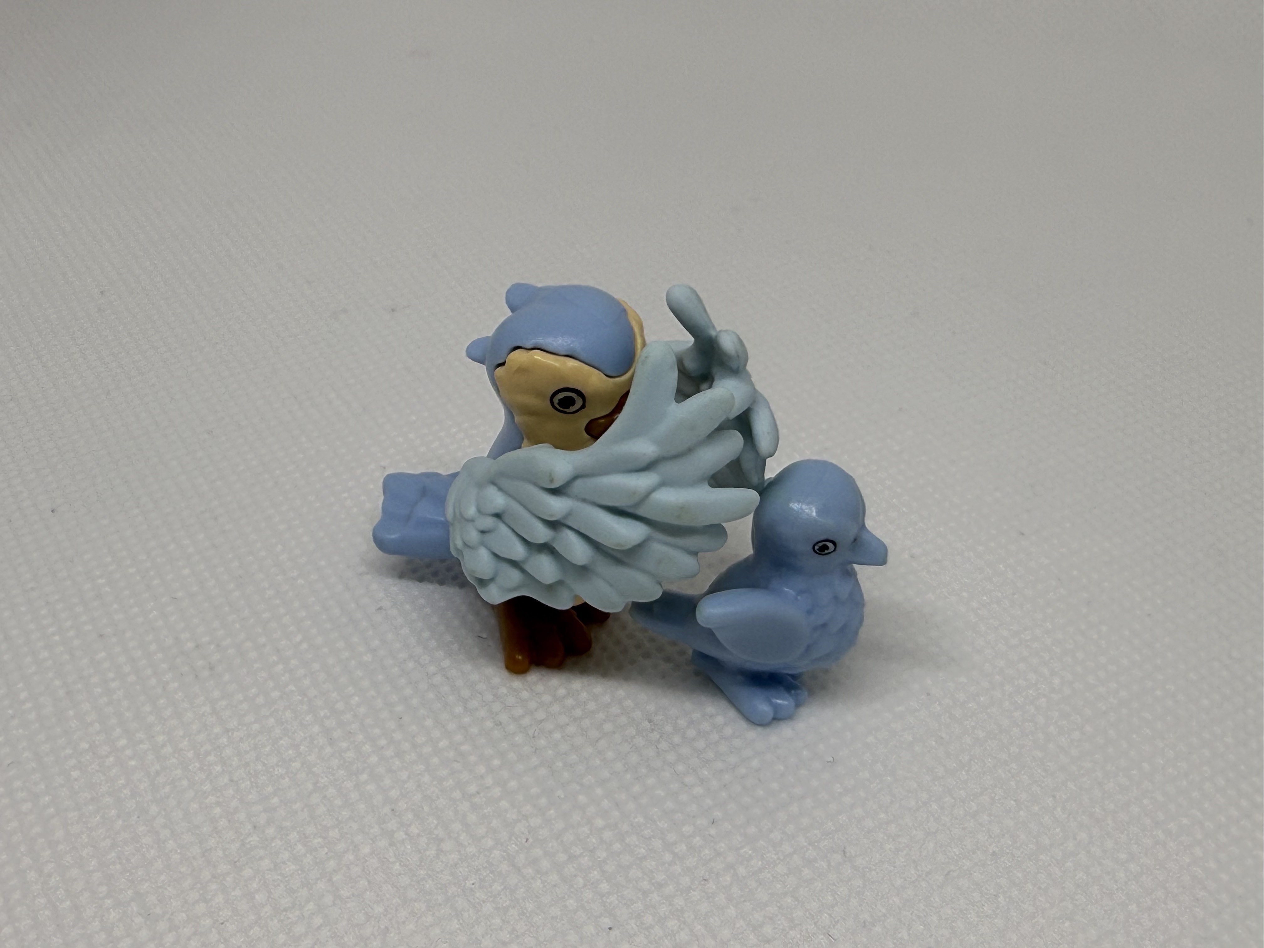 Pájaros con cria - 02