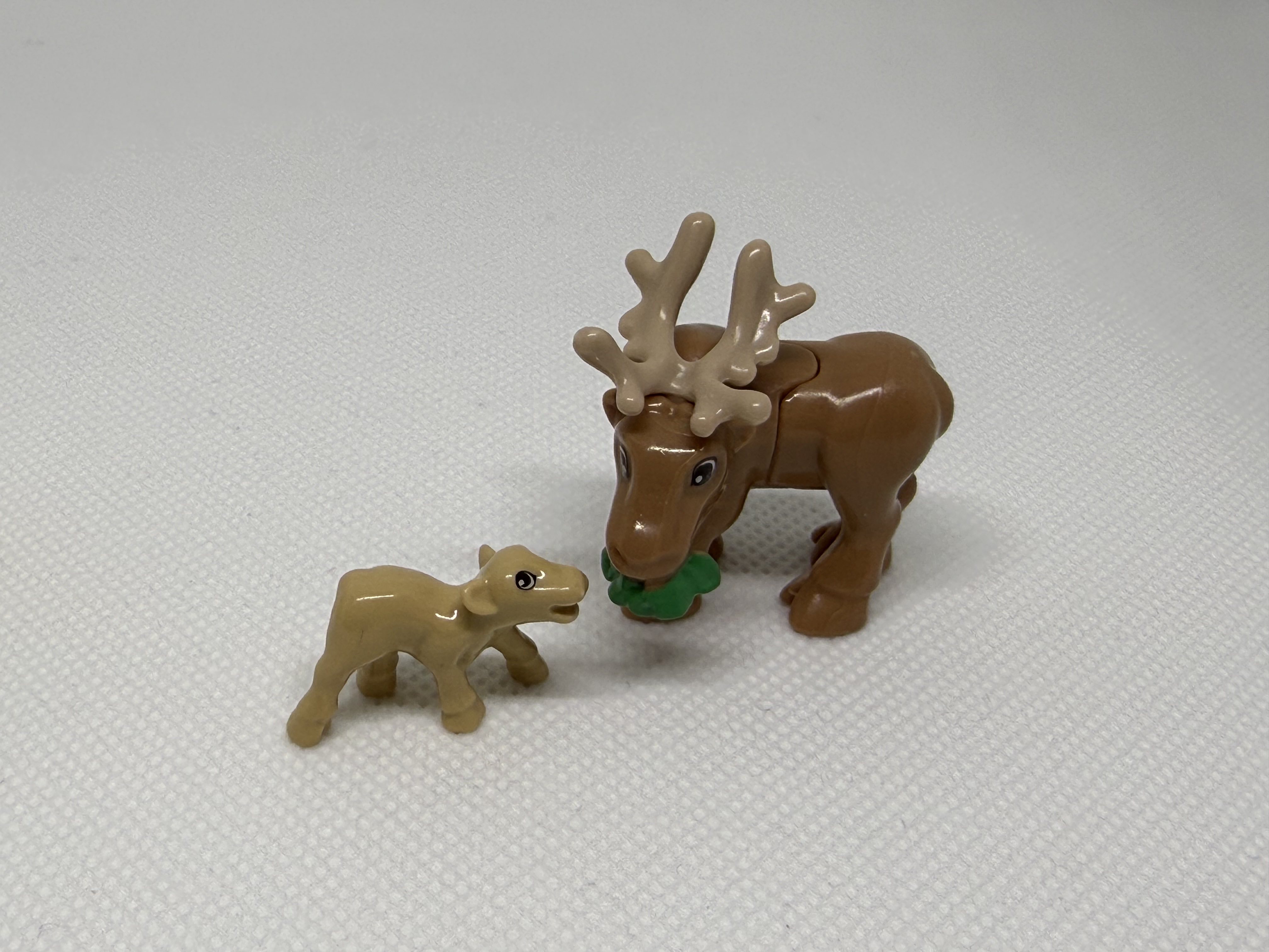 Animales polares con cría - 03