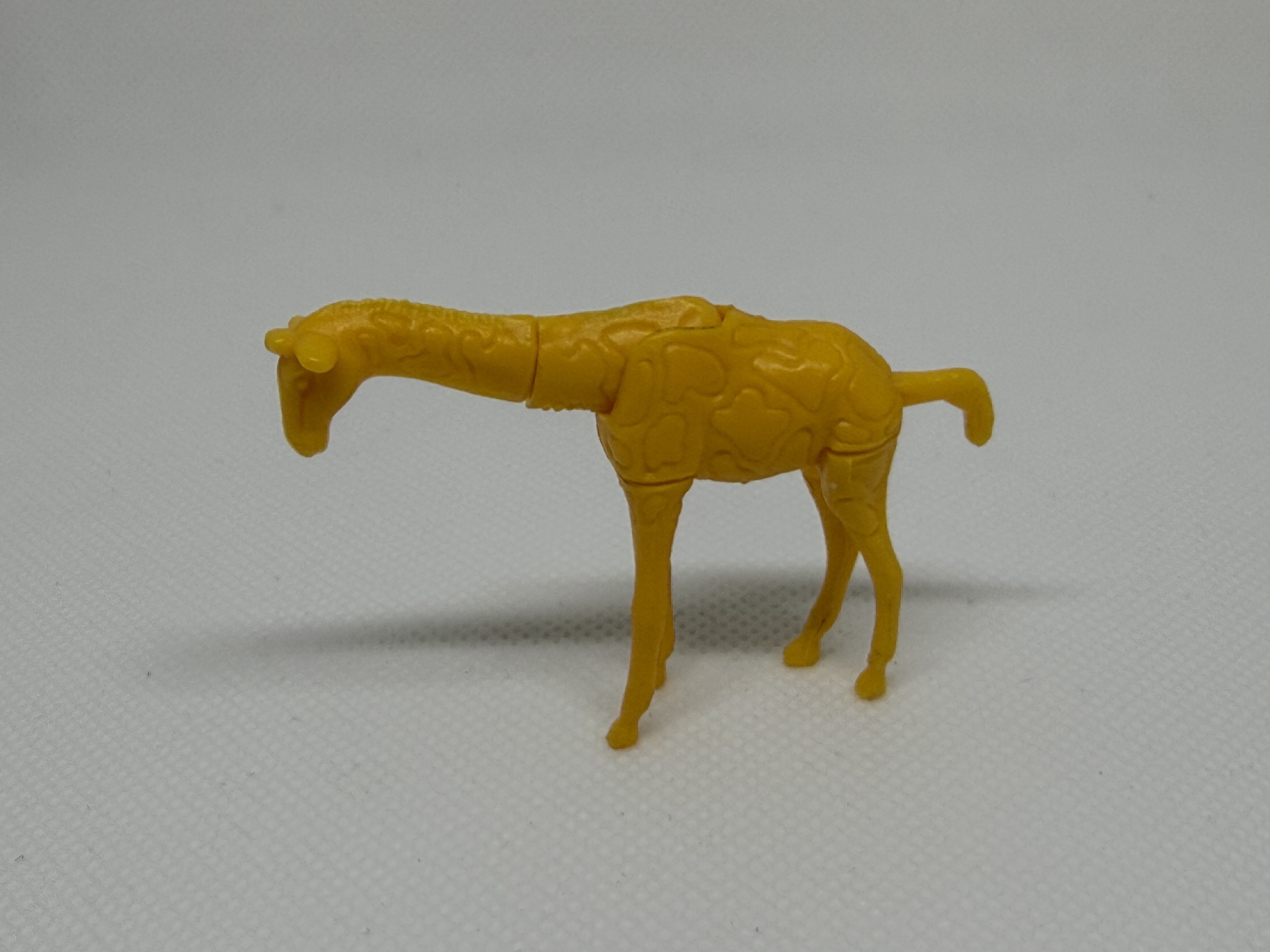 La jirafa y el camello - 02