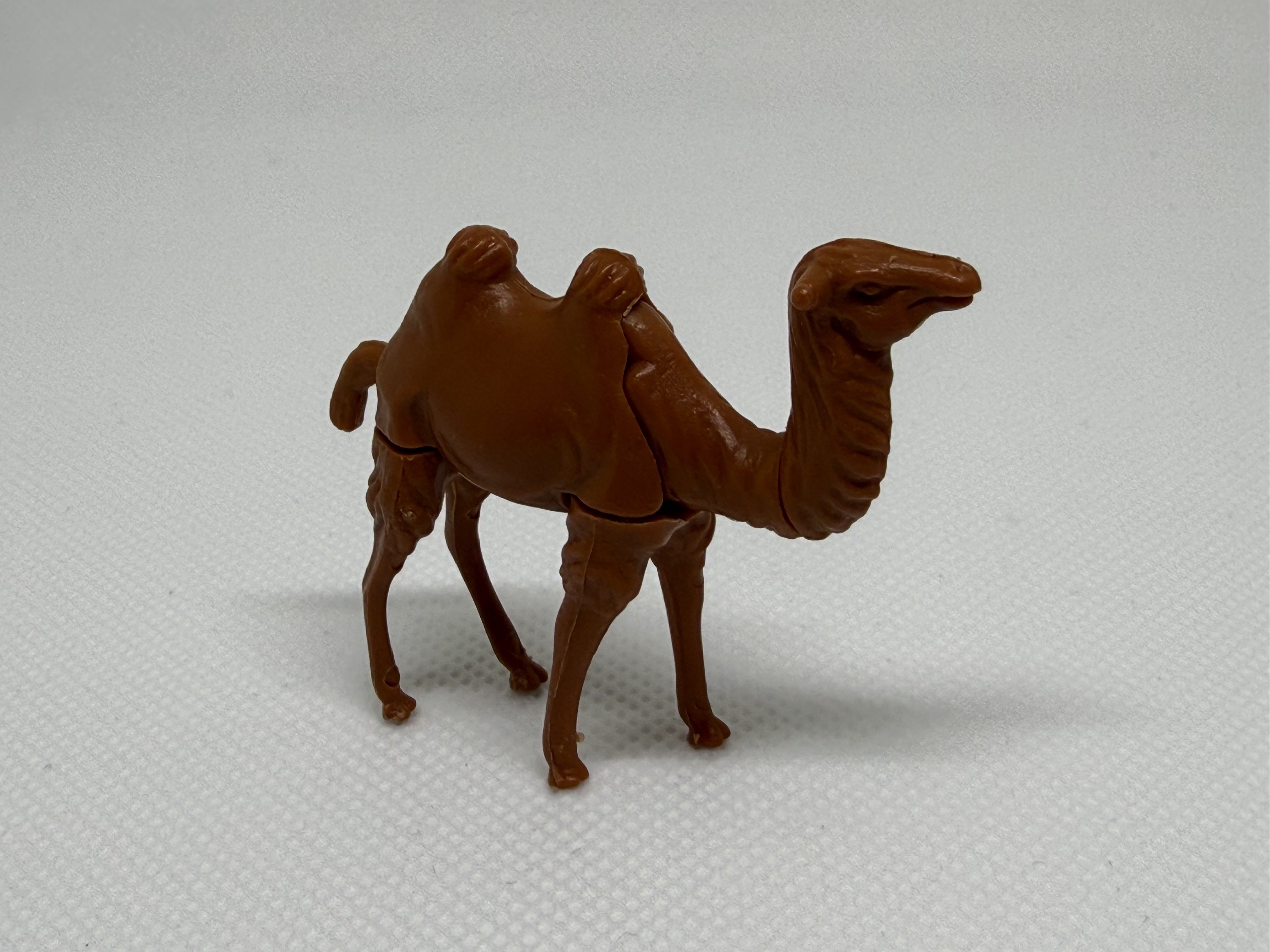 La jirafa y el camello - 01