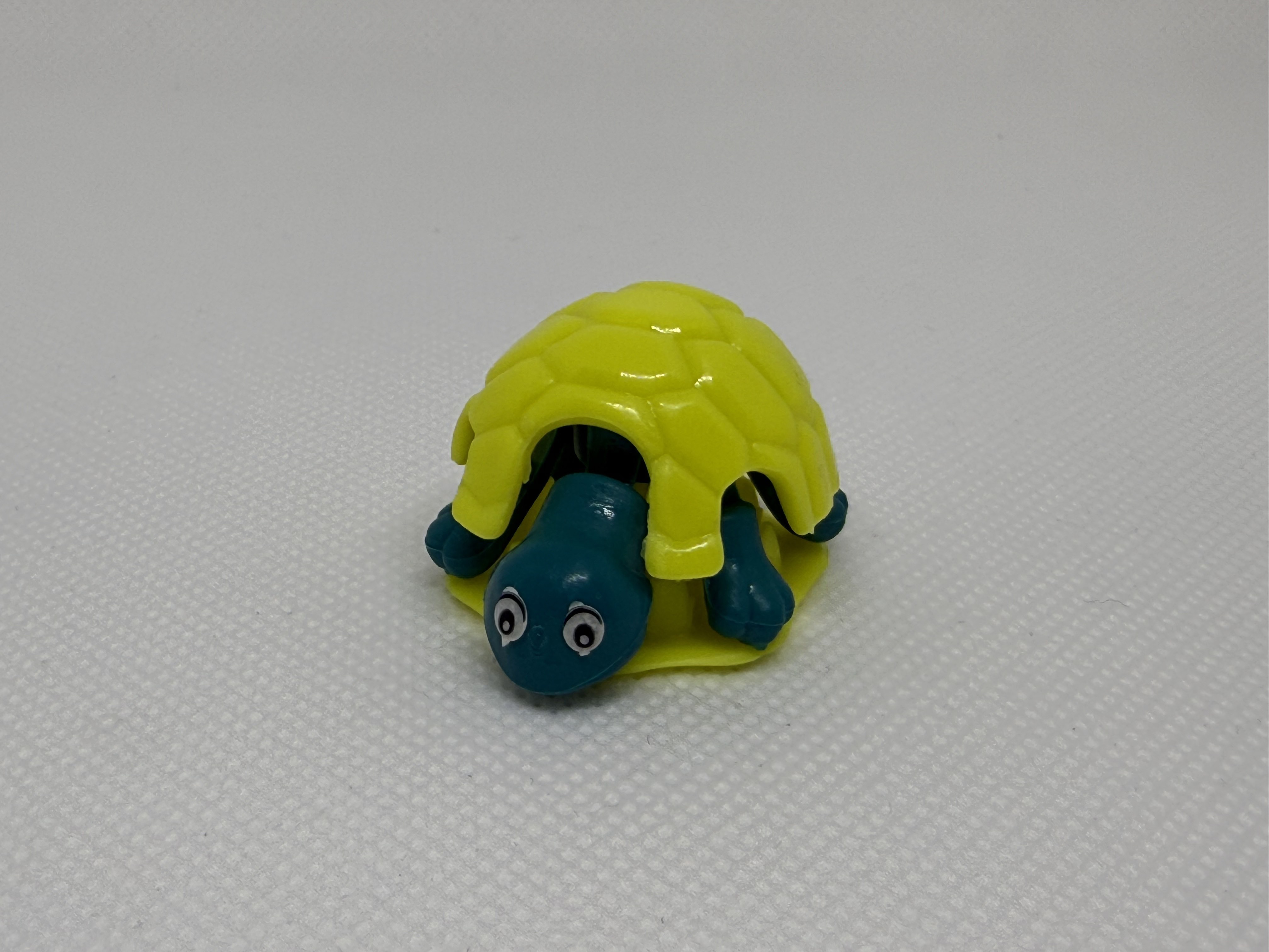 La rana y la tortuga - 03