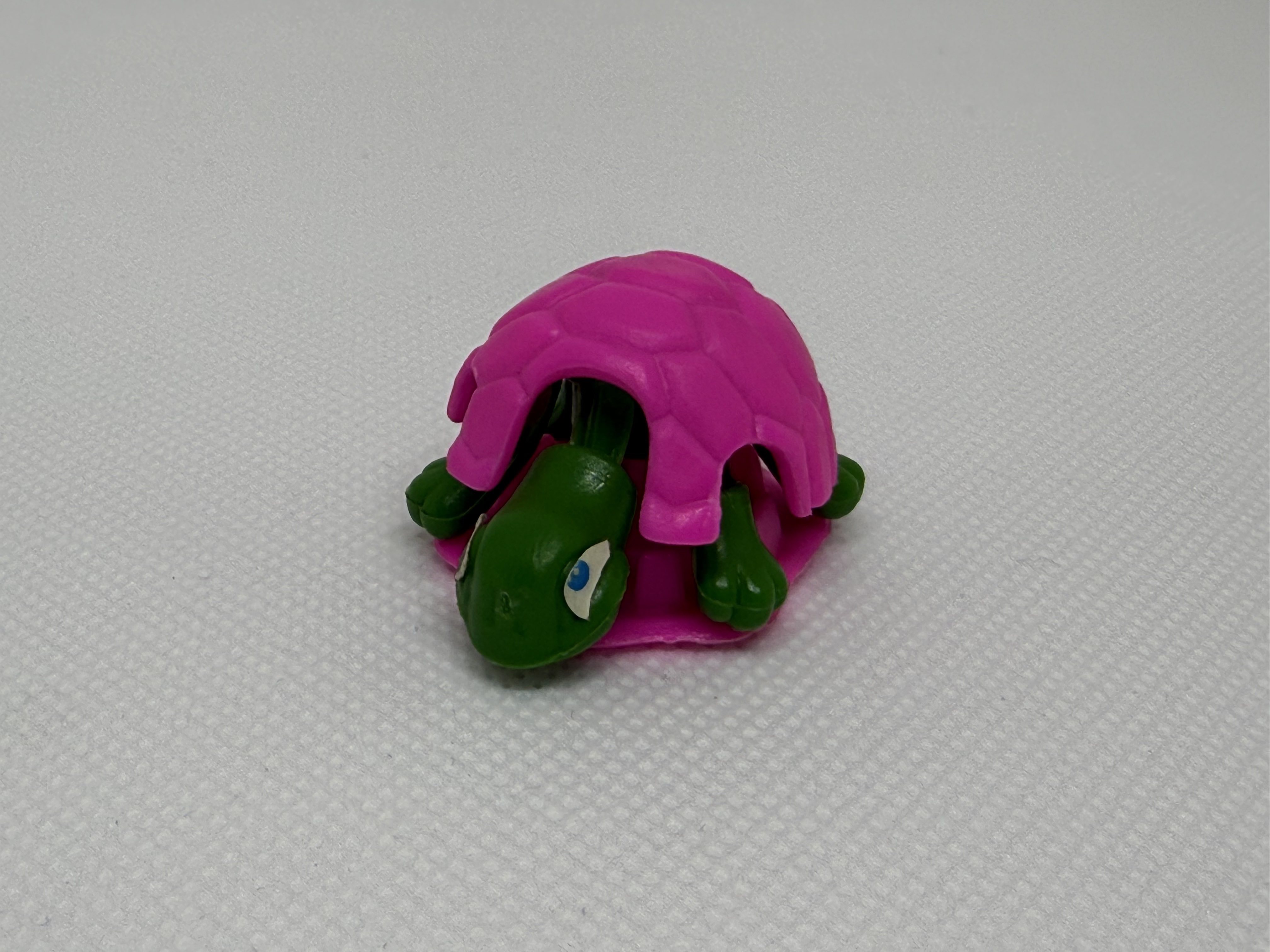 La rana y la tortuga - 02