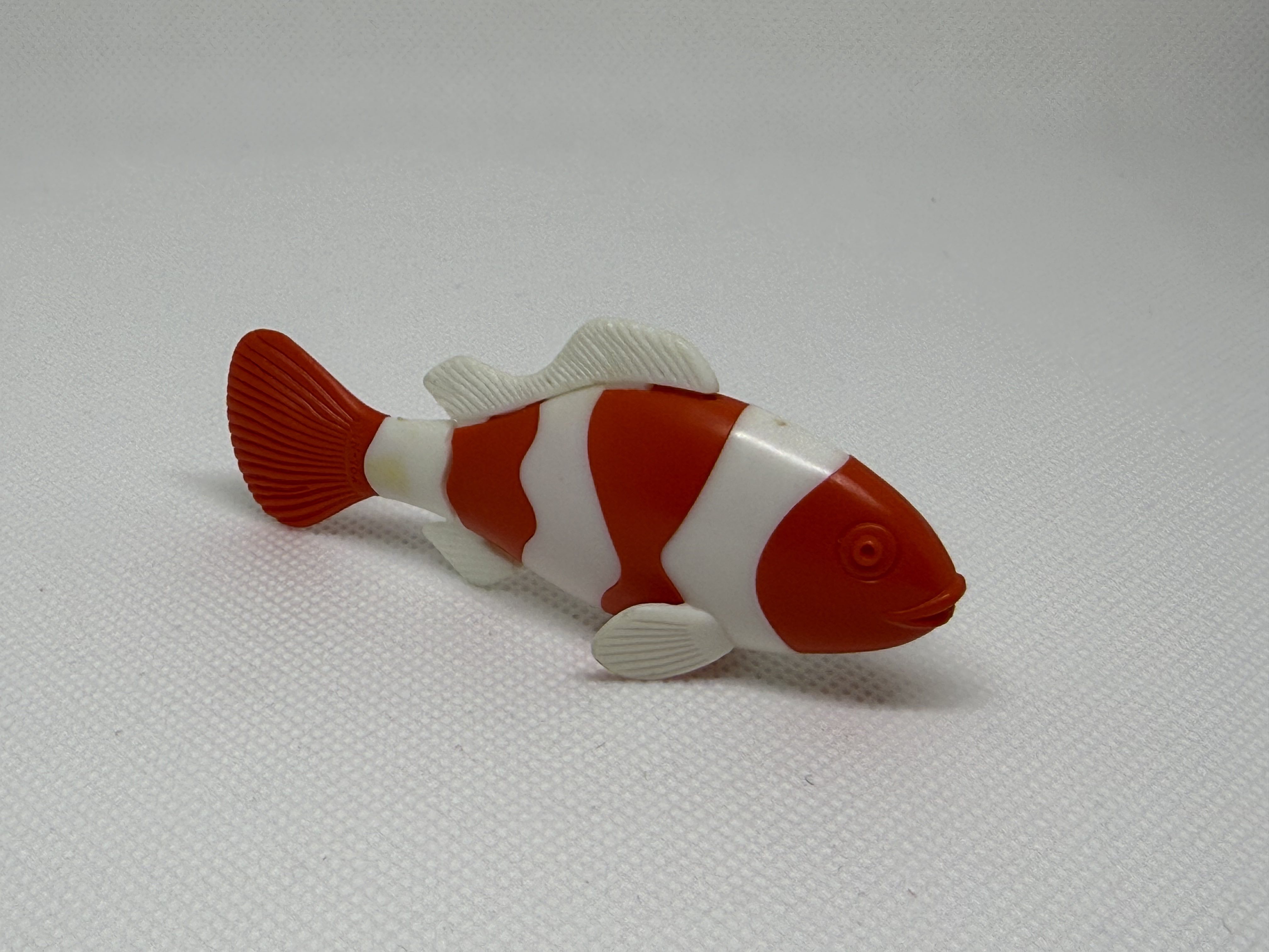 Los pescados bicolor - 01