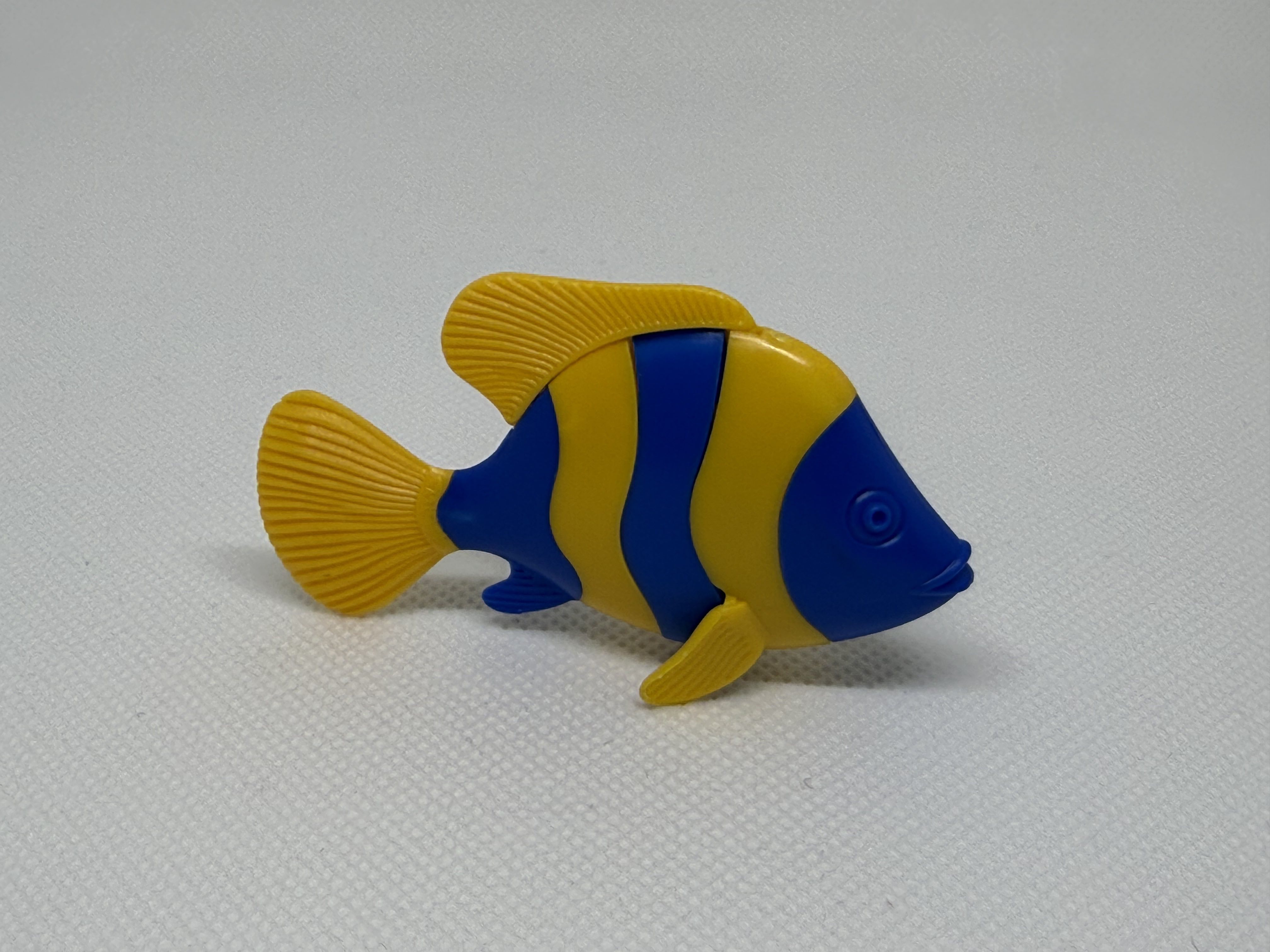 Los pescados bicolor - 02