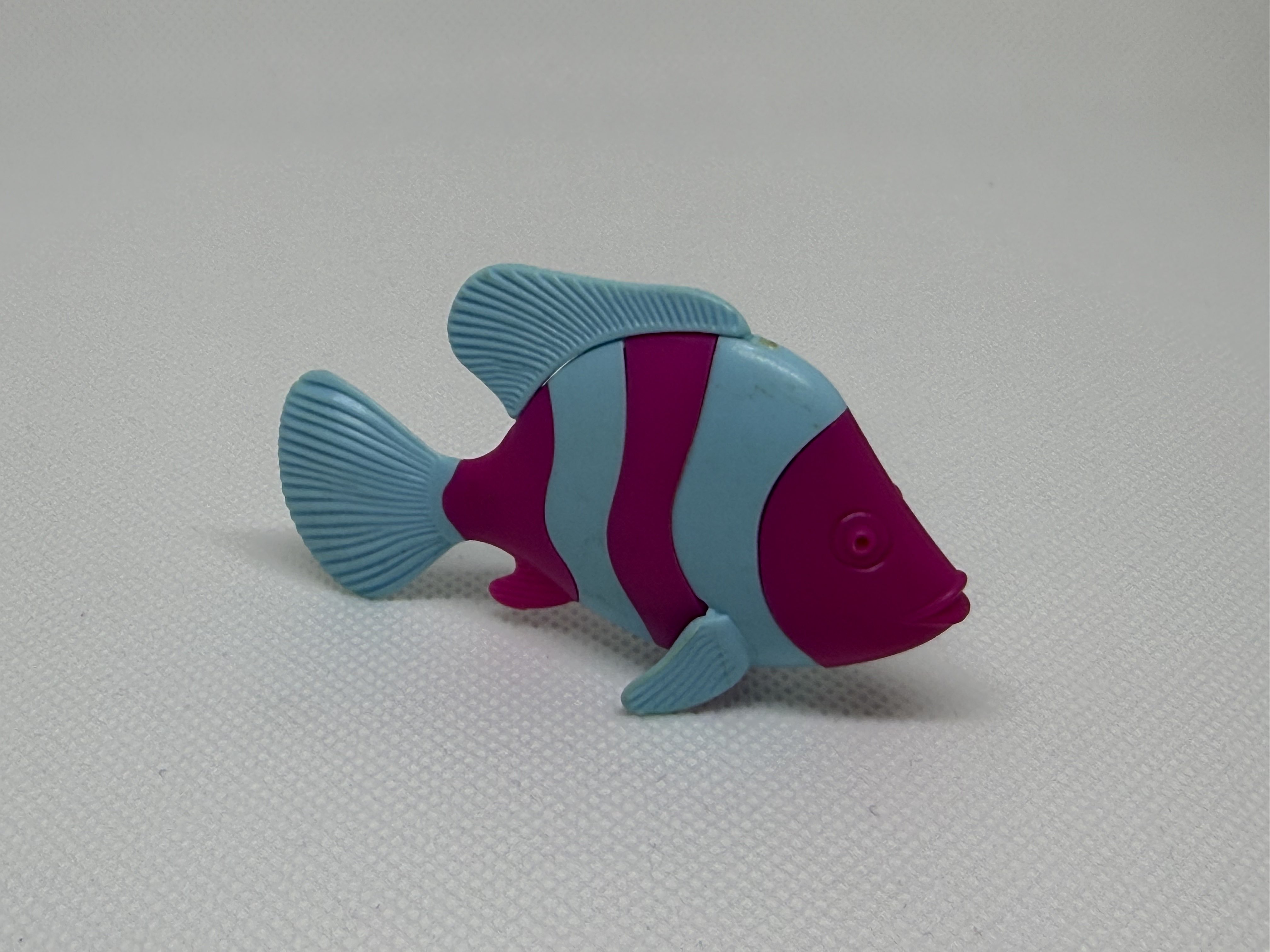 Variante 02 de Los pescados bicolor