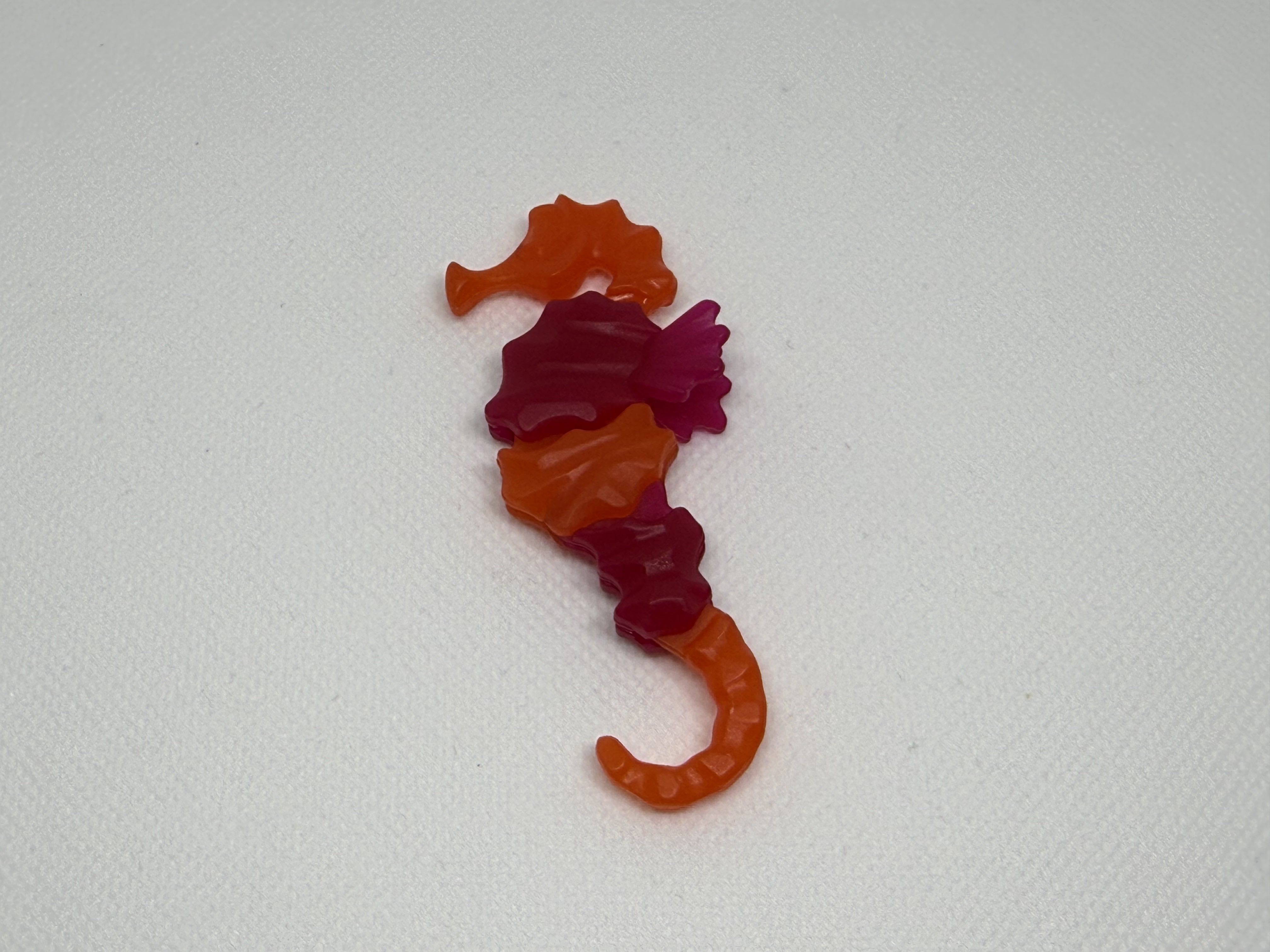 Pez y caballito de mar - 02