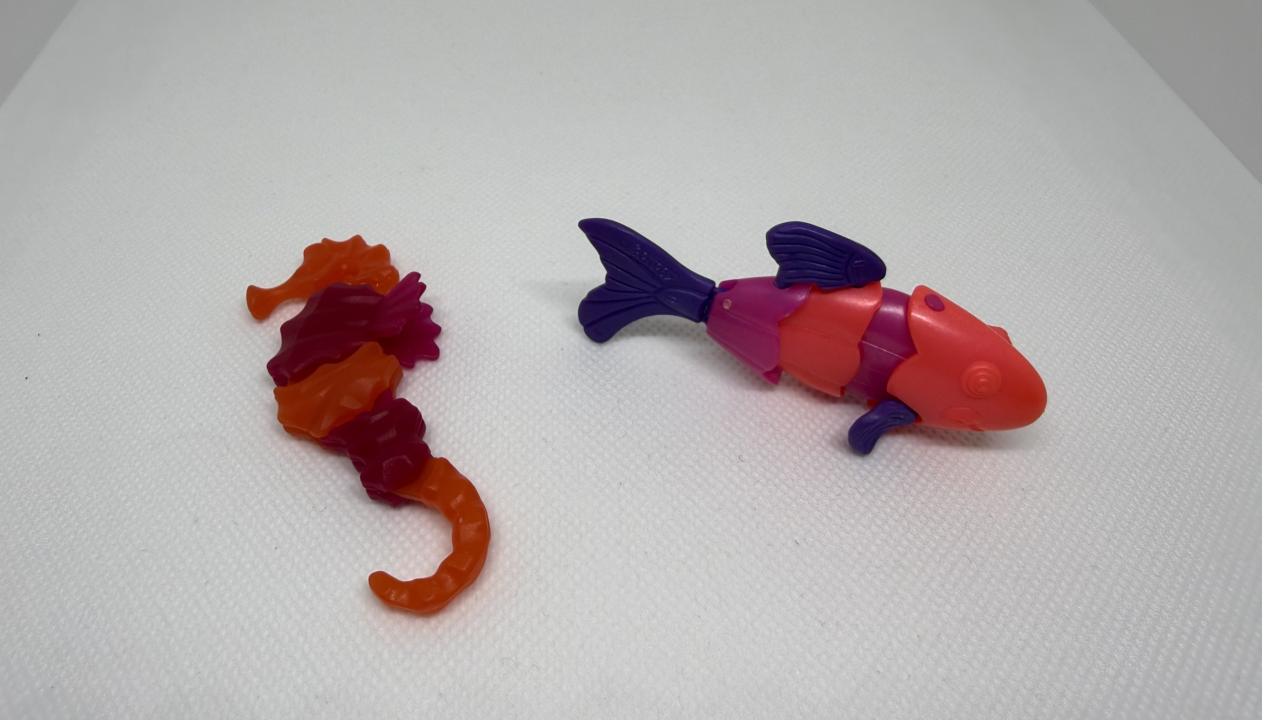 Pez y caballito de mar - Portada