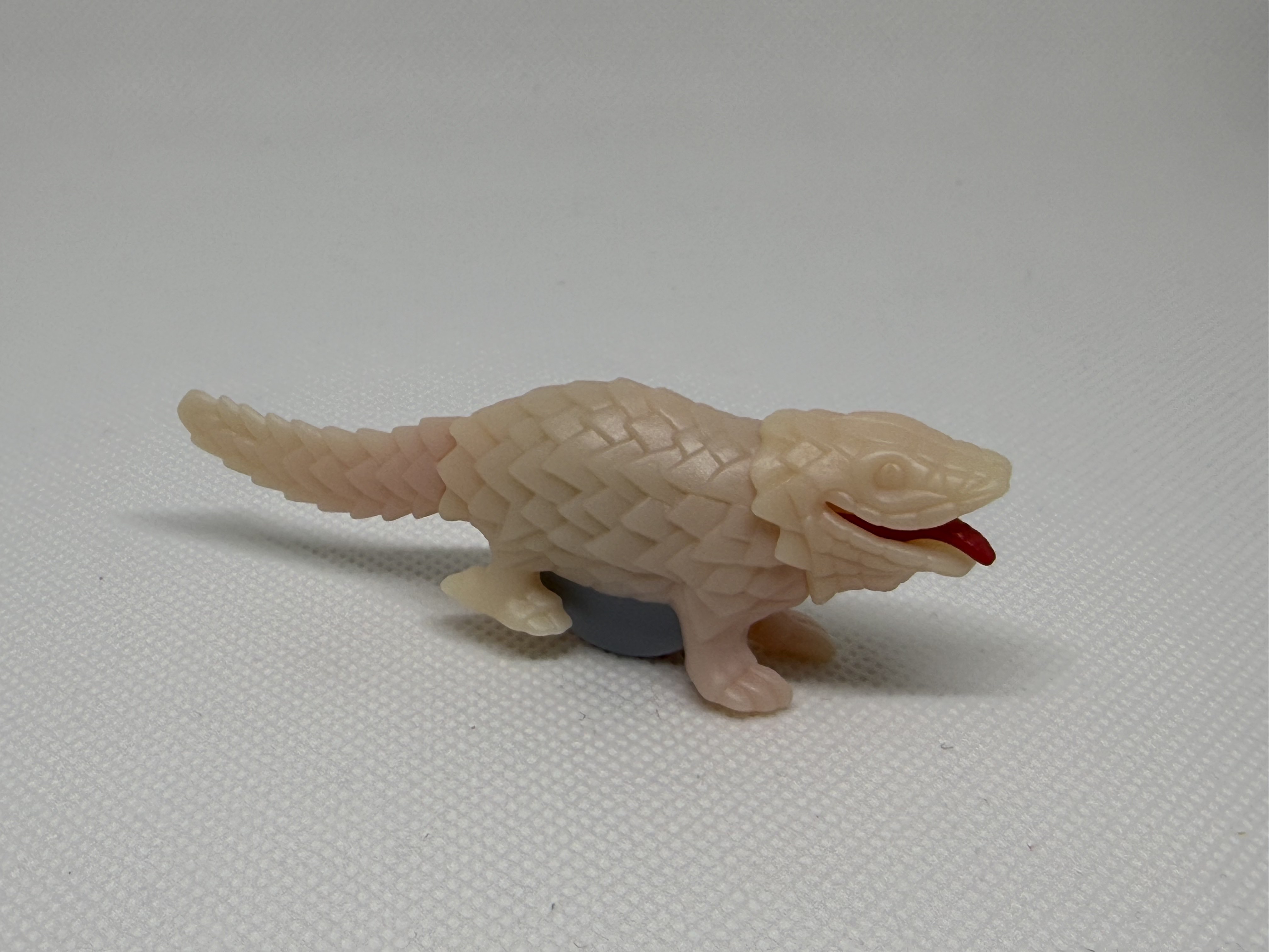 Oso hormiguero, camaleón y lagarto - 01