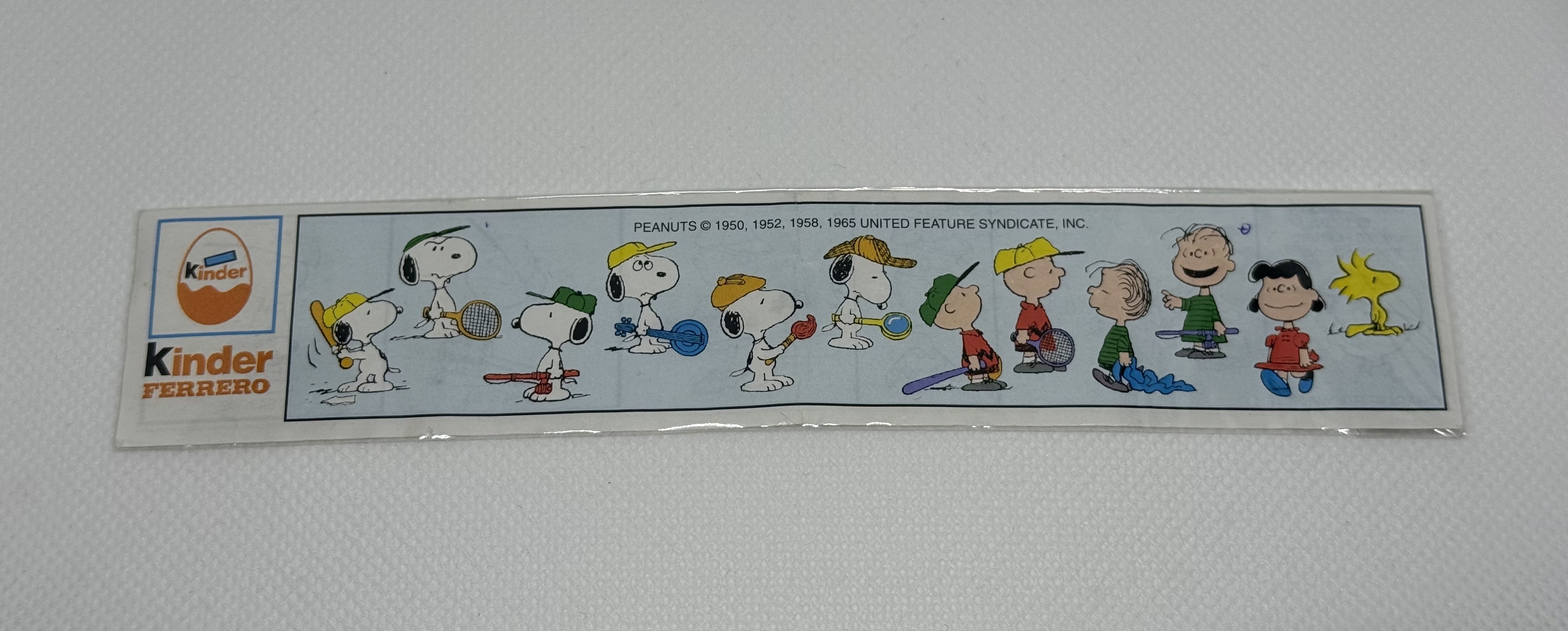 Snoopy Sports - Cartina